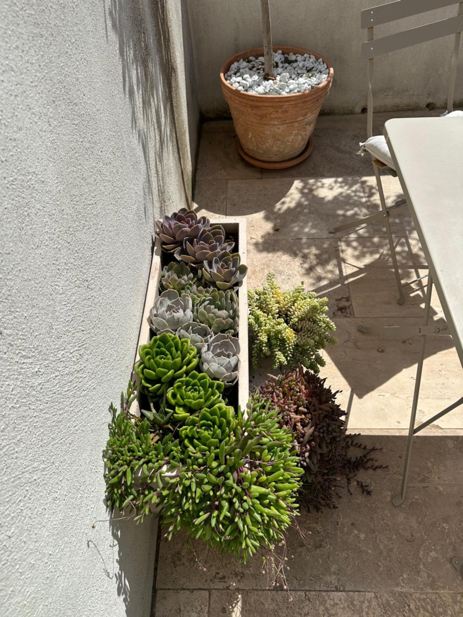 Appartements 3 Etoiles Terrasse Ou Patio Intra-Muros Aigues-Mortes Bagian luar foto